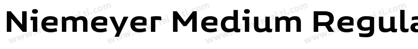 Niemeyer Medium Regular字体转换
